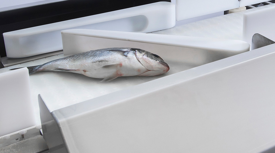 Vægtsortering af hele fisk