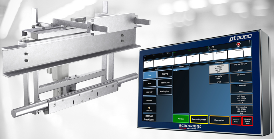 Precision and strong weighing processes for the slaughterhouse