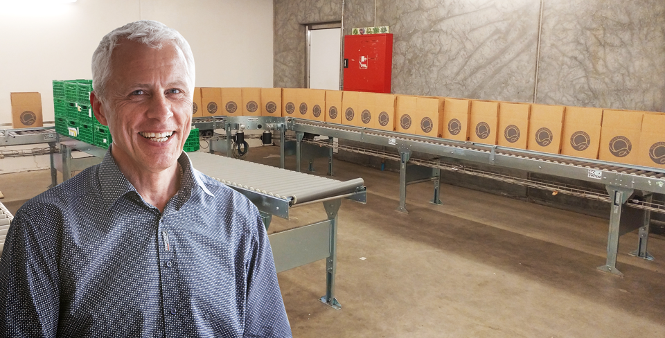 Dedicated Packing Solution for meal boxes