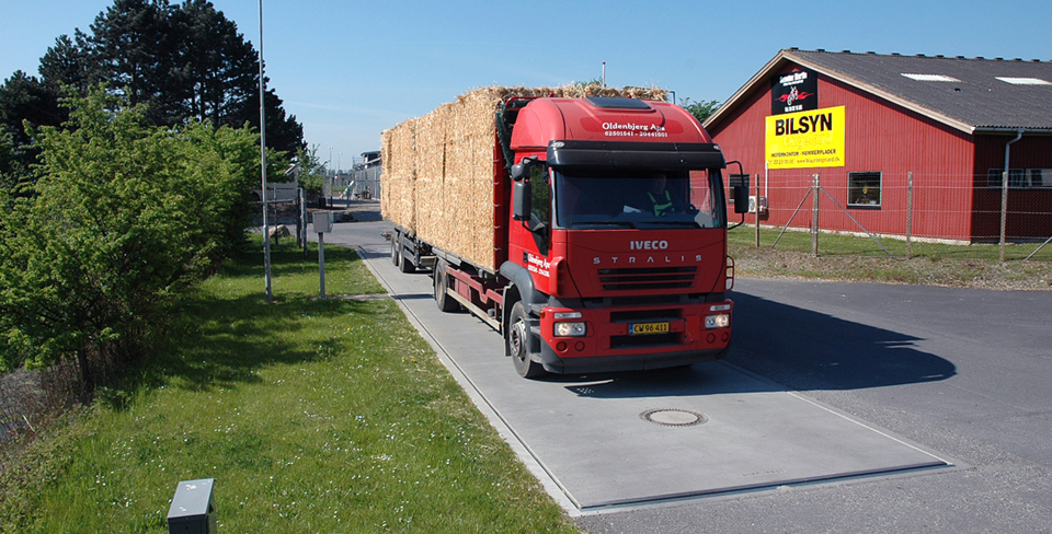 Solutions for Straw-Fired Power Plants